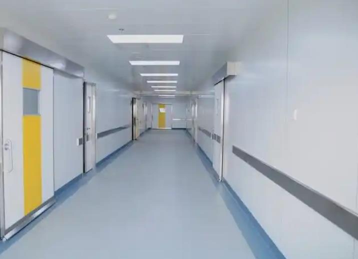 甘肃省陇南市康诚药业车间净化工程